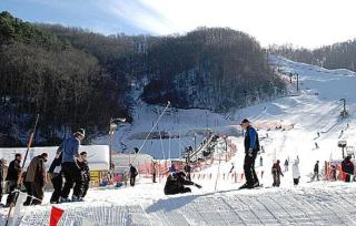 Truly Blessed - Gatlinburg - 1