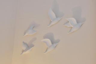 Strandglück Haus C Strandglück Appartement 8C - 1