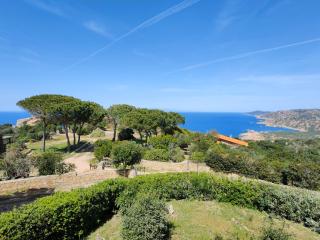 Villa Unica - Appartamenti Alba e Tramonto - Isola Rossa - 9