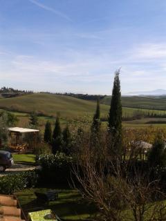 Agriturismo Podere Camollia - Costalpino - 8