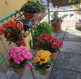 Alloggio con idromassaggio e super vista - 2
