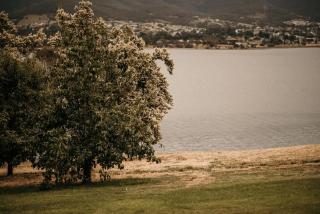 Otago Cottage - Hobart - 7