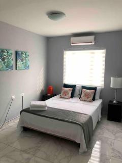 Xevize Apartment 2 - Palm-Eagle Beach - 4