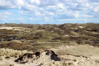 Torenlicht - Zand I (36) - 3