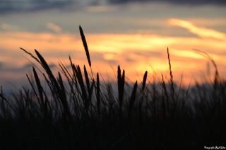 Torenlicht - Zand I (36) - 1