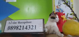 Motel Tuan Phuong - Da Nang - 2