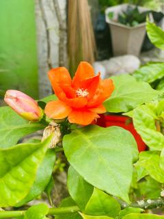 Motel Tuan Phuong - Da Nang - 6