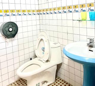 Xinshe Xiao Shu time homestay - Xinshe - 5