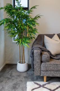 Explore Addington and CBD 1 bed w/carpark - Christchurch - 6