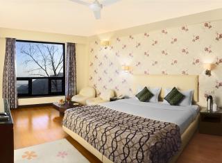 Honeymoon Inn Mussoorie - Mussoorie - 4