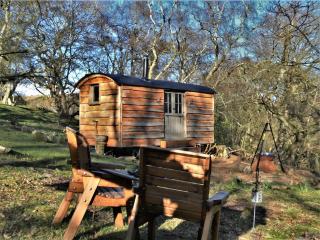 The Hideaway, Shepherd's Hut - Scarborough - 0