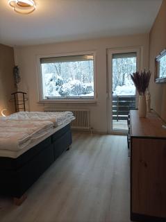 Harzglanz FeWo's KIBO - Braunlage - 8
