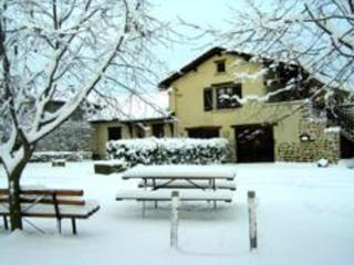 Gîte chaleureux avec cheminée, grande terrasse, jeux pour enfants et promenades à dos d'ânes - FR-1-496-283 - Saint-Médard-en-Forez - 7