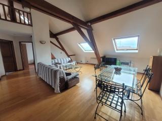 Chaleureux duplex en Alsace - Mulhouse - 4