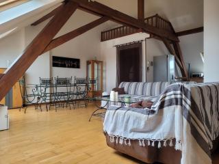 Chaleureux duplex en Alsace - Mulhouse - 5