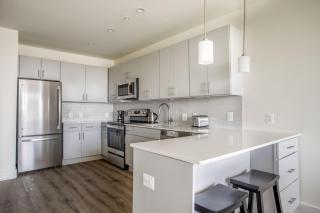 Alexandria West 2br w gym bocce nr transport WDC-671 - Arlington - 4