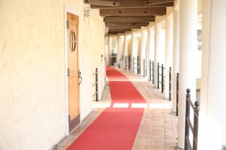 Tennenonsen Amuri - 8