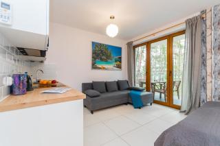 APARTAMENTY MIERZEJA - BALTIC PARK STEGNA, Studio 24m2, 500 m od plaży - Stegna - 1