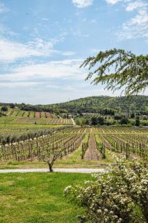 Agriturismo biologico Bulichella - Suvereto - 6
