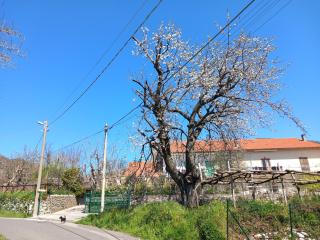 MON REVE - Agerola - 3
