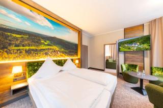 Hotel Waldmühle - Zella-Mehlis - 0