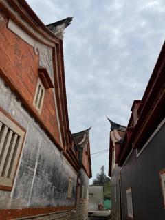 官裡拾玖 - Jincheng - 5