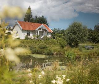 Dom nad stawem - Domatowo - 0