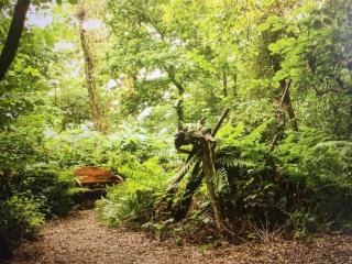 Magical Forest yurt - 4