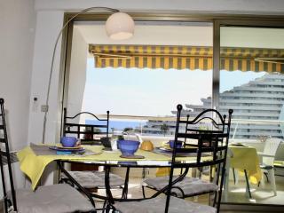 Appartement 2 Pièces avec Climatisation, 4 Couchages, à 100m de la Plage - FR-1-252A-33 - Villeneuve-Loubet - 7