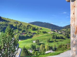 Appartement 4* cosy, terrasse sud, proche pistes, parking, Wi-Fi - FR-1-304-231 - La Clusaz - 7
