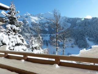 Appartement cosy 3 pièces avec wifi, jusqu'à 8 personnes - FR-1-304-237 - 8