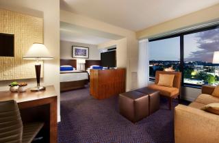 Hyatt Regency Lisle near Naperville - Lisle - 8
