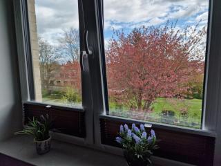 Moderne Penthouse Wohnung - Schleswig - 5
