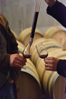 Torre de Palma Wine Hotel, Monforte, a Member of Design Hotels - Monforte - 3