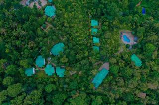The Woods Resorts Wayanad - Sultan Bathery - 9