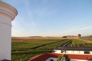 Torre de Palma Wine Hotel, Monforte, a Member of Design Hotels - Monforte - 4