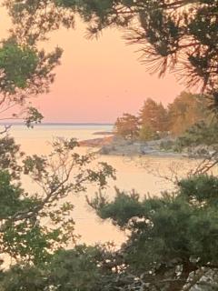 Yksityinen saari ulkomerellä! - 5