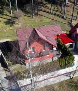 Vila Roberta - Buşteni - 9