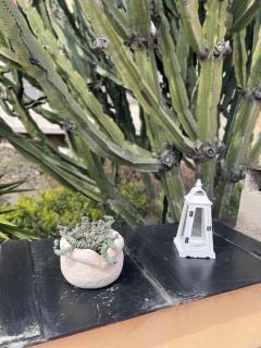 Casa Maria Terrazza sul mare con vista panoramica a Cervo - 7