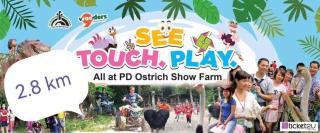 B8-13a pd marina resort - 4