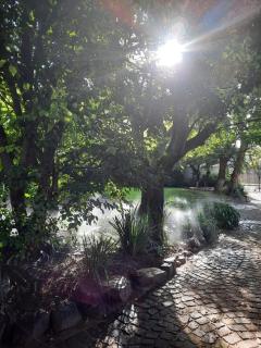 Nel's Cottage, a private and peaceful cottage - 5