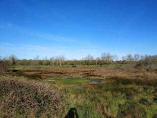 Grand studio, tout équipé et rénové. - Combrit - 7