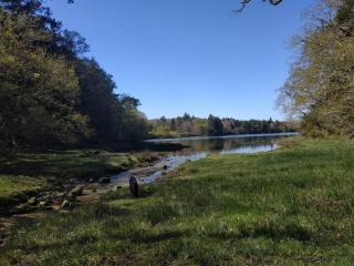 Grand studio, tout équipé et rénové. - Combrit - 1