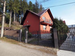 Vila Roberta - Buşteni - 8