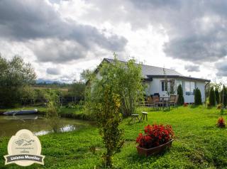 Linistea Muntilor Chalet - 0