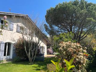 Maison de charme avec piscine - Saint-Martin-de-Seignanx - 9