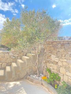 Villa Eirene Mykonos - Mikonos - 7