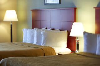 Quality Inn Southampton - Southampton - 3