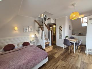 APARTAMENTY "LA VILLA" z klimatyzacją, ogrodem, parkingiem, blisko centrum - Kudowa-Zdrój - 5