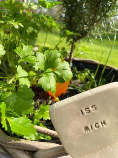 Grimmwald Tiny House - 1